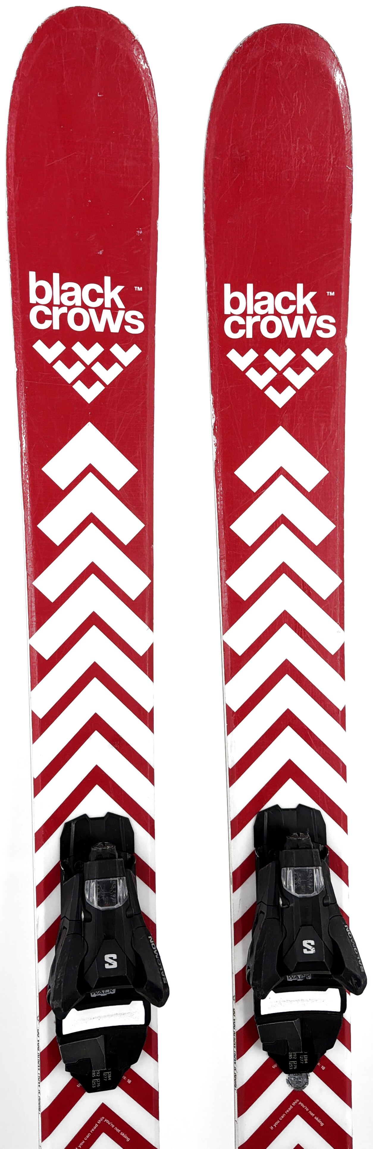 2026 Black Crows Camox Skis Tip