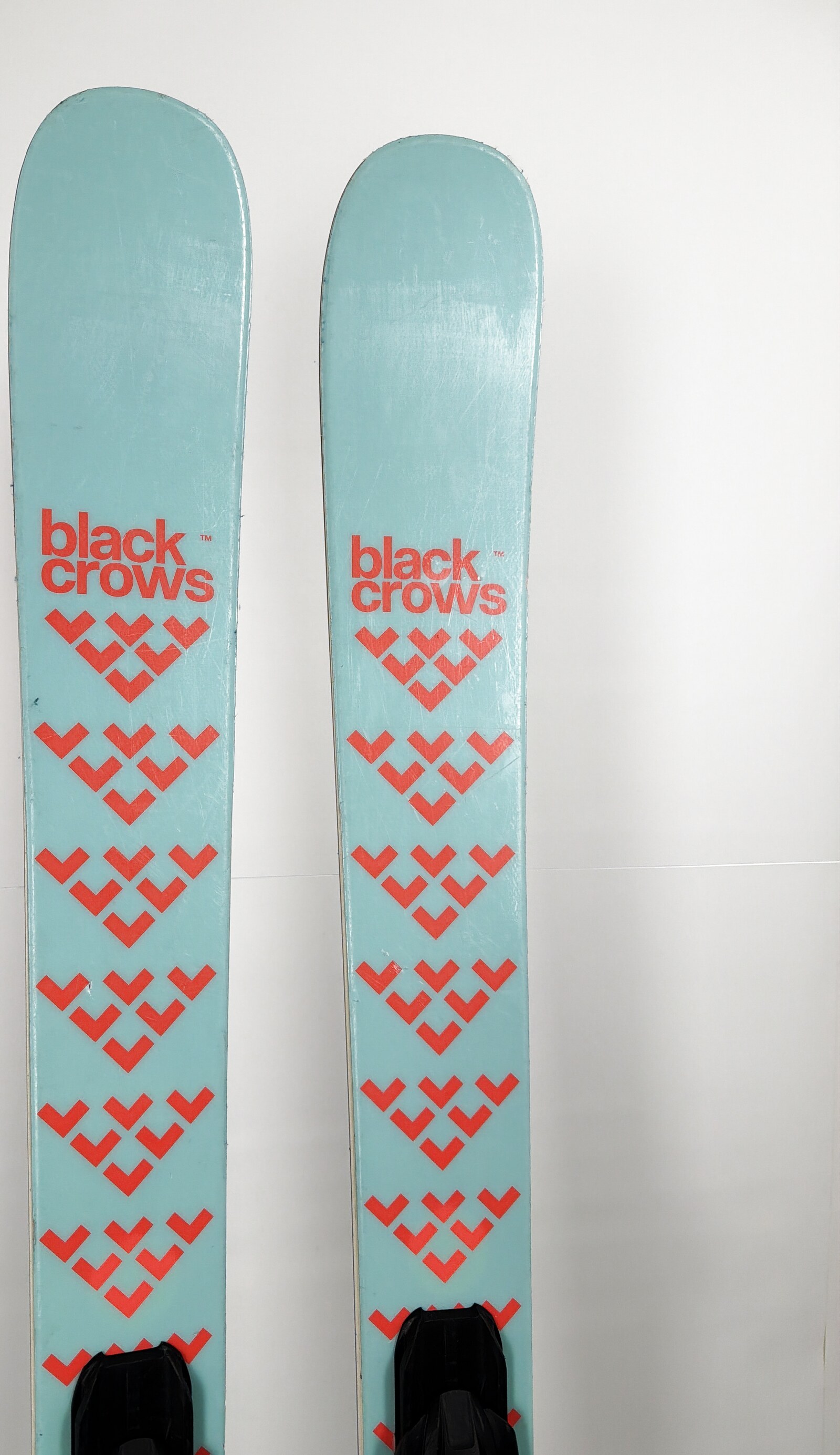 2024 Black Crows Captis Birdie Skis Tip