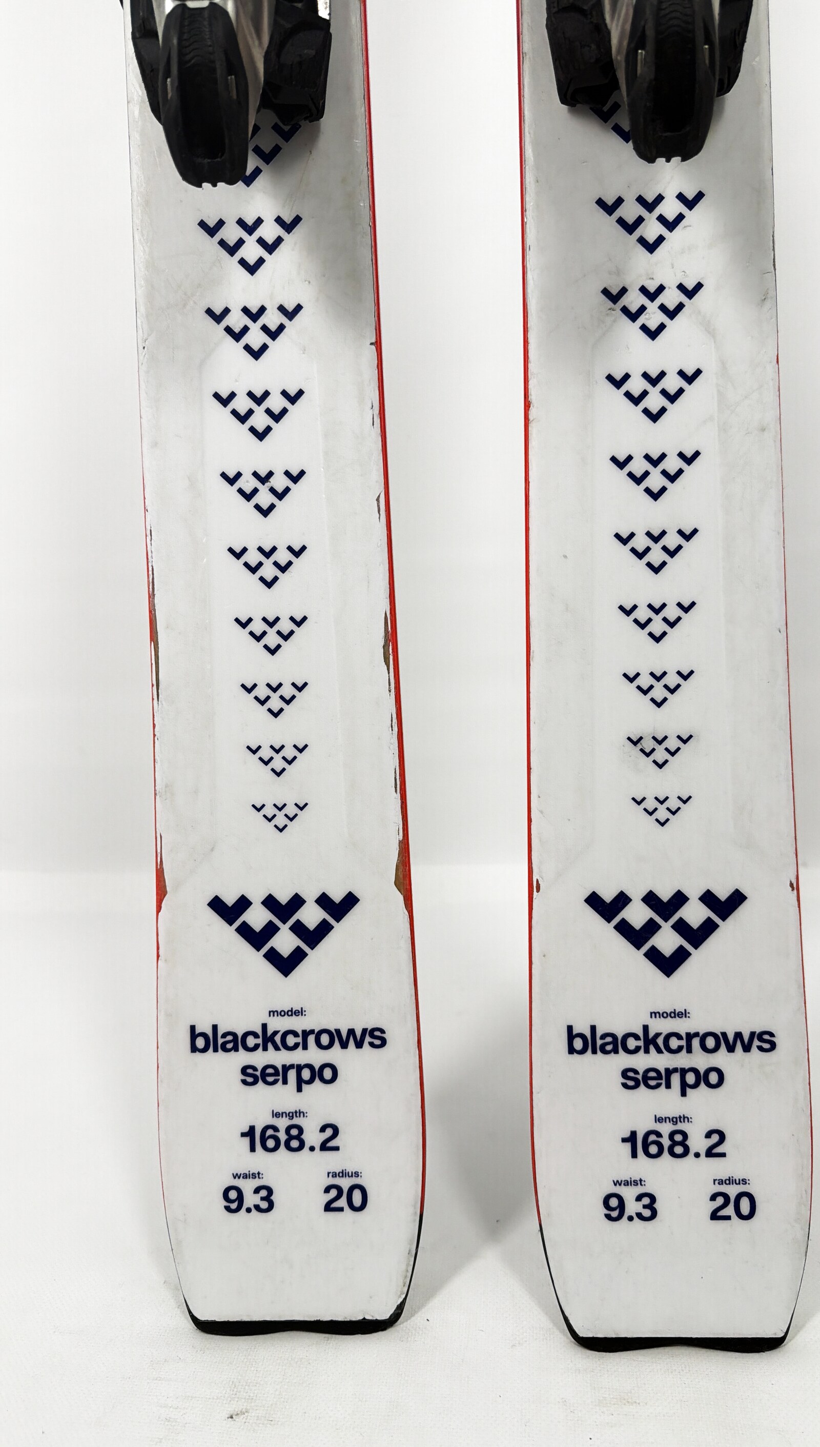 2024 Black Crows Serpo Skis Tail