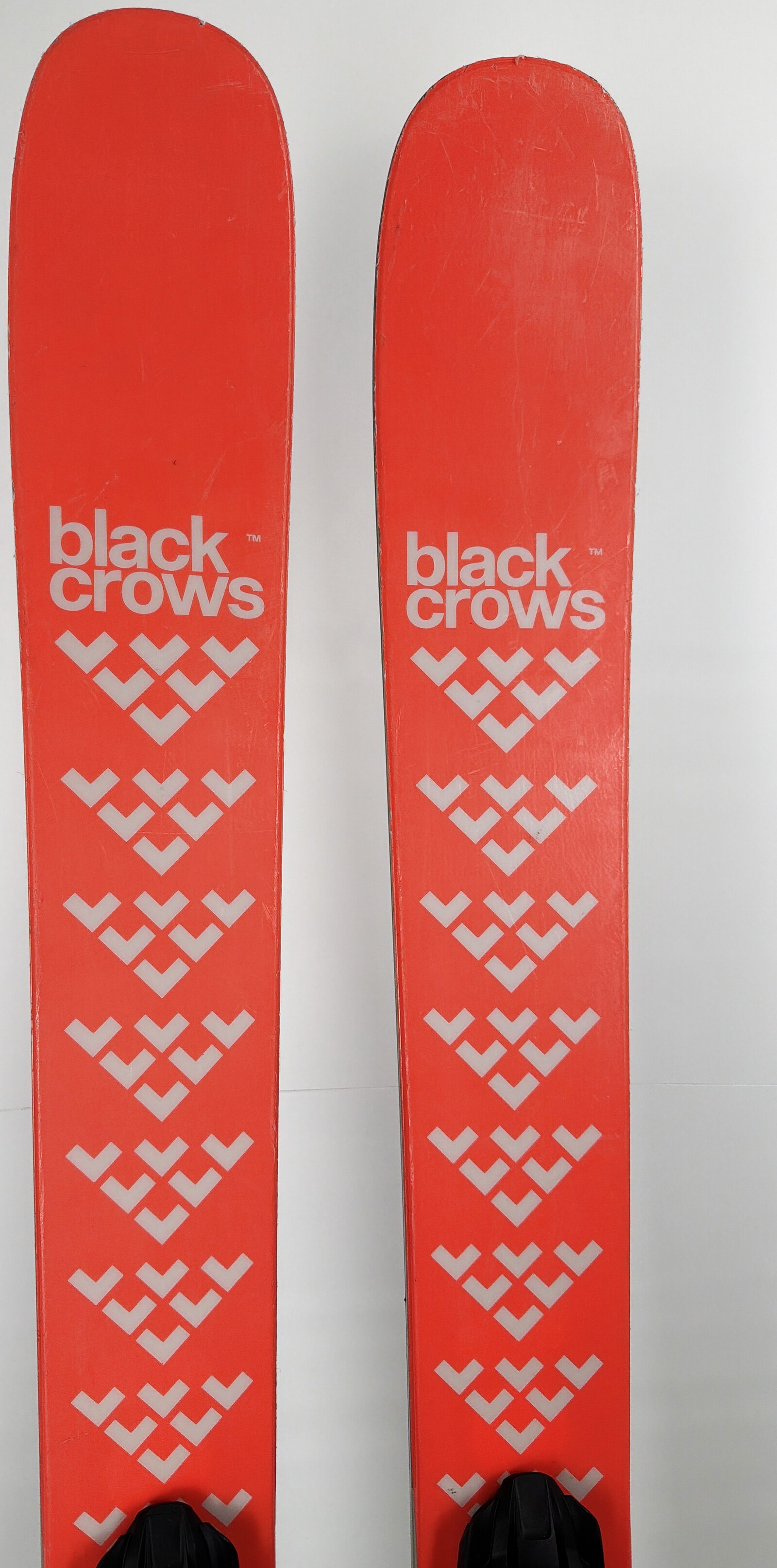 2024 Black Crows Camox Birdie Skis Tip