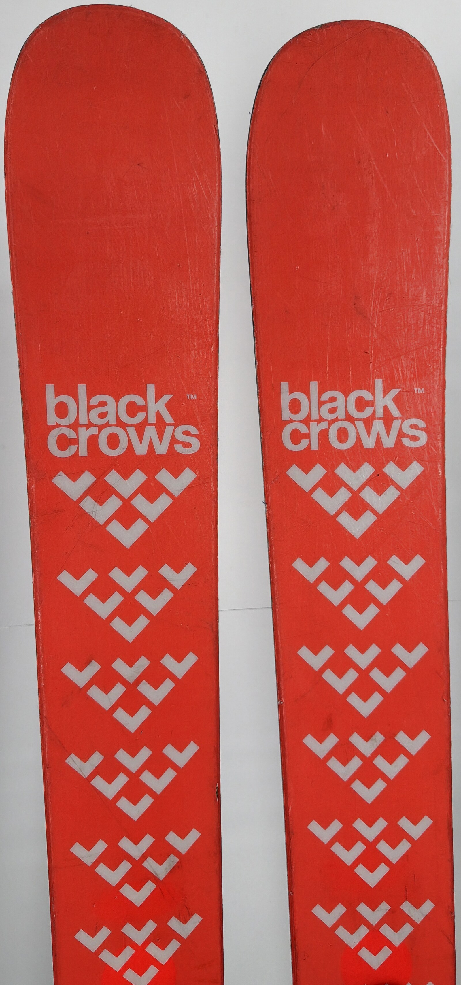 2024 Black Crows Camox Birdie Skis Tip