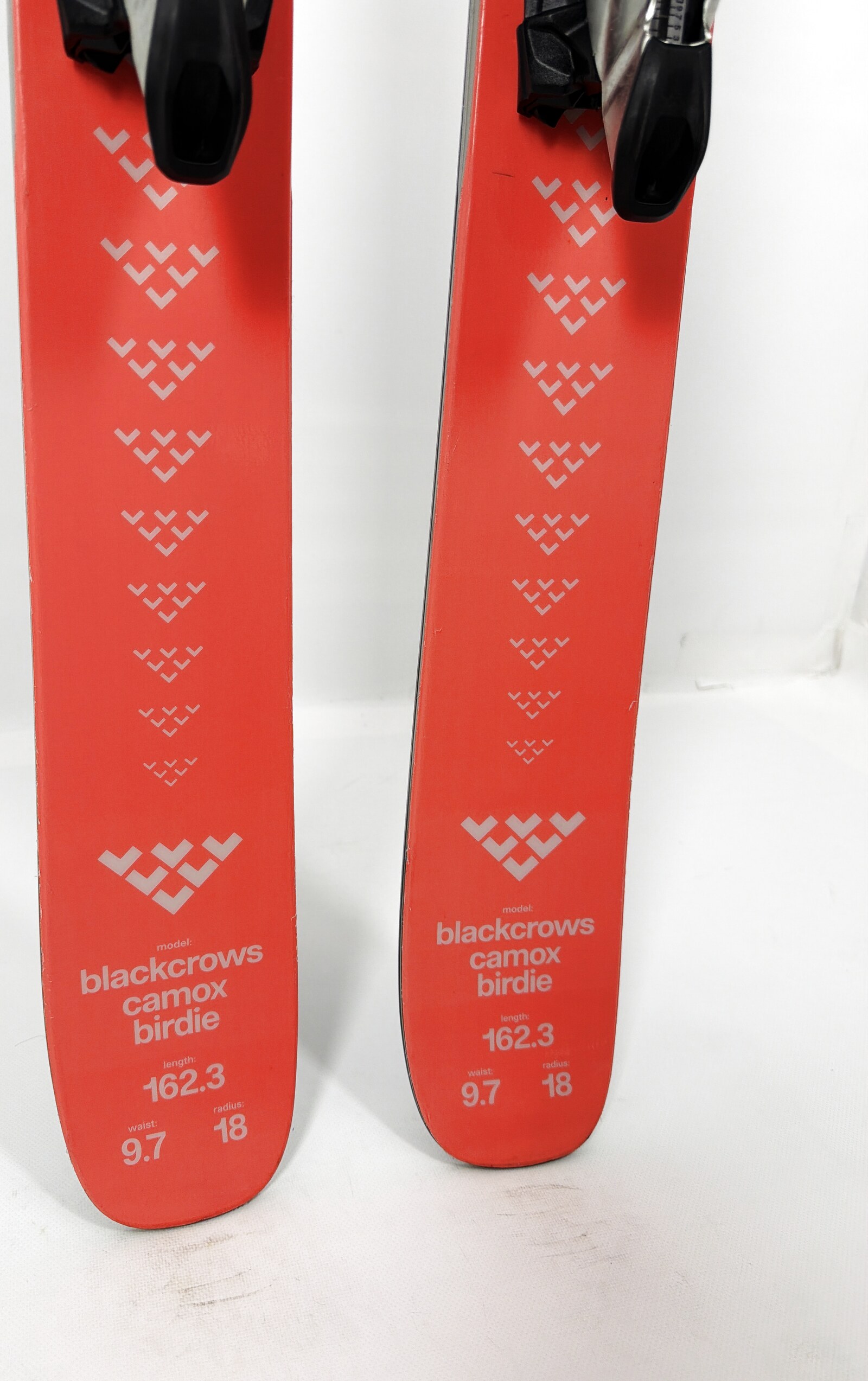 2024 Black Crows Camox Birdie Skis Tail