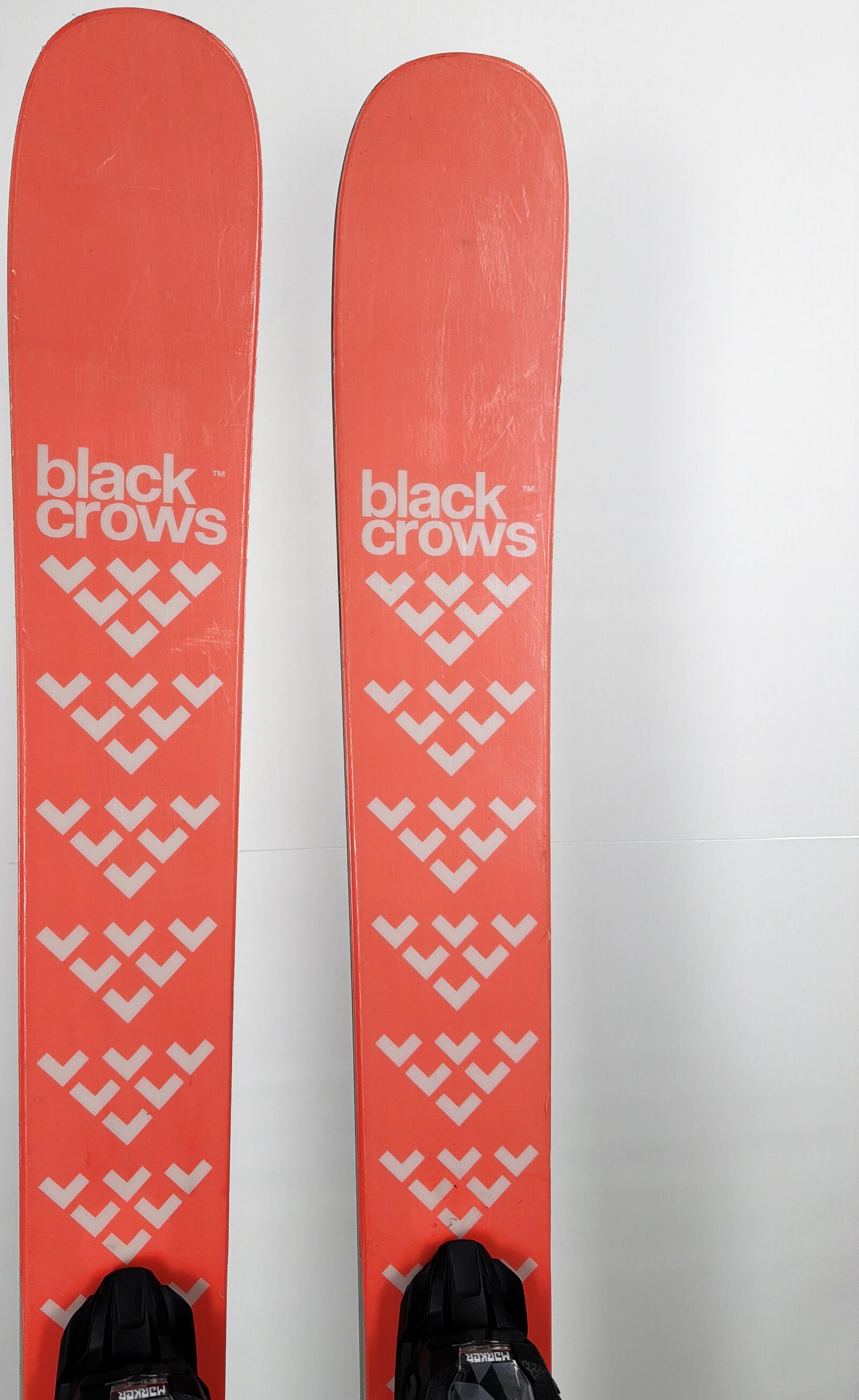 2024 Black Crows Camox Birdie Skis Tip