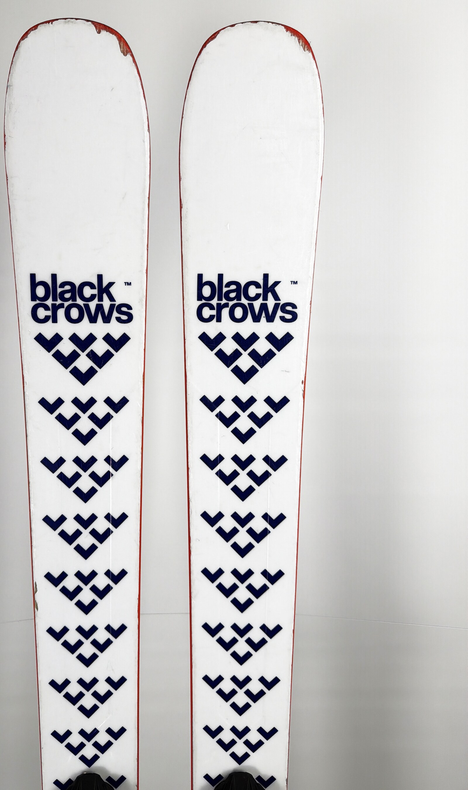 2026 Black Crows Serpo Skis Tip