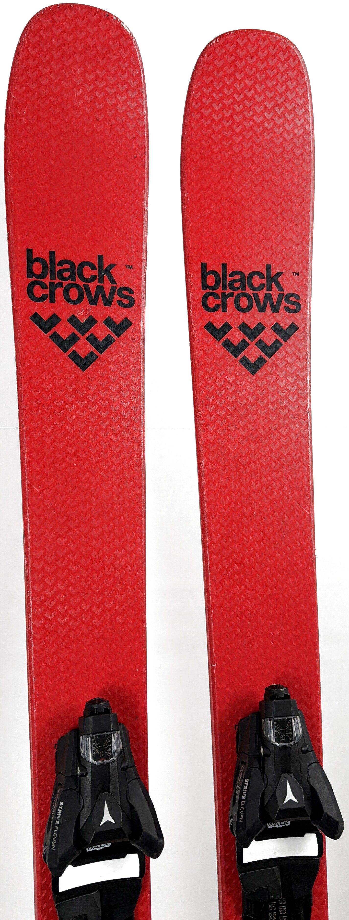 2022 Black Crows Camox Freebird Skis Tip